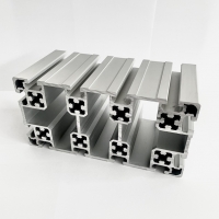 Strebenprofil 100x200mm Nut 10