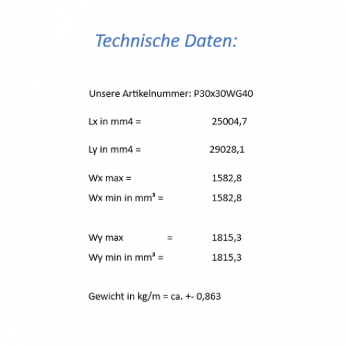Strebenprofil 30x30mm WG40 Nut 8